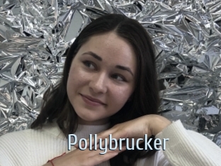 Pollybrucker