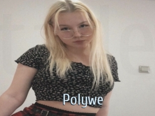 polywe Ta Model