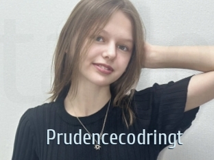 Prudencecodringt