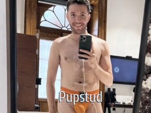 Pupstud