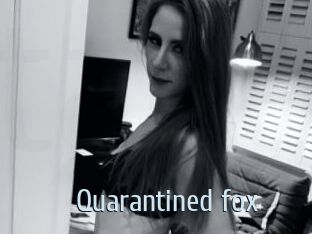 Quarantined_fox Ta Model