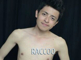 RACCOO