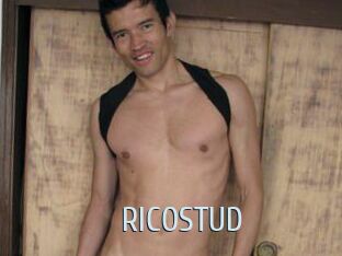 RICOSTUD Ta Model