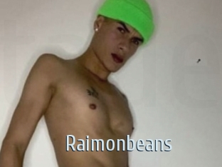 raimonbeans Ta Model