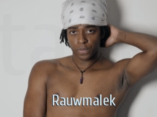 rauwmalek Ta Model