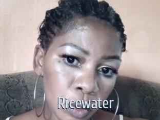 Ricewater