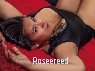 Roseereed