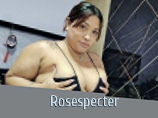rosespecter Ta Model
