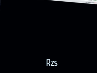 Rzs