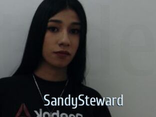 SandySteward