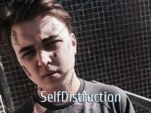 SelfDistruction