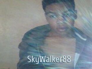 SkyWalker88