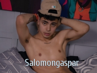 Salomongaspar