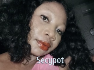 Secypot