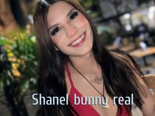 Shanel_bunny_real