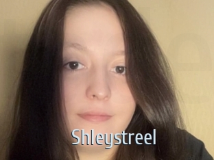 shleystreel Ta Model