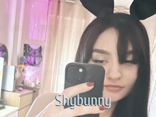 Shybunny