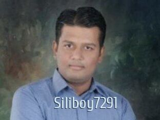 Siliboy7291