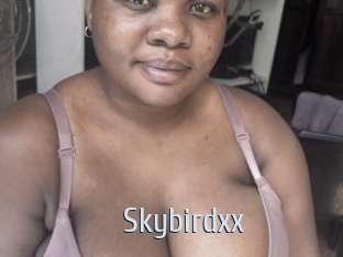 Skybirdxx
