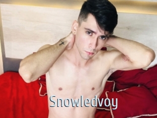 snowledvoy Ta Model