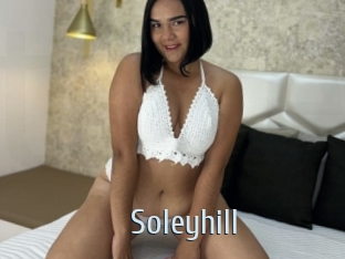 Soleyhill