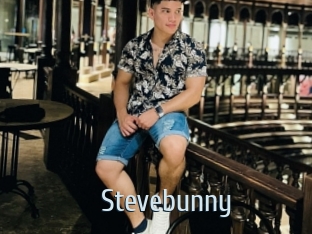 Stevebunny