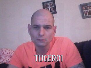 TIJGER01
