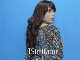 TSimitator