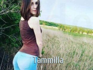 Tammilla_