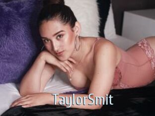 TaylorSmit Ta Model
