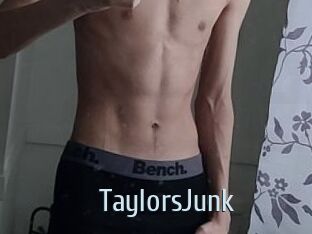 TaylorsJunk