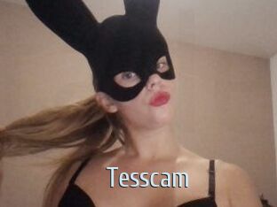 Tesscam