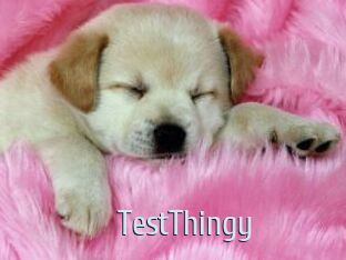 TestThingy
