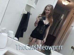 TheCatsMeowprrr