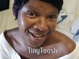 TinyToosh