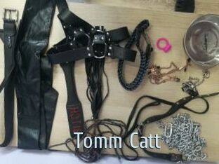 Tomm_Catt