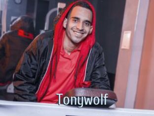 Tonywolf Ta Model