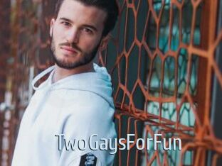 TwoGaysForFun