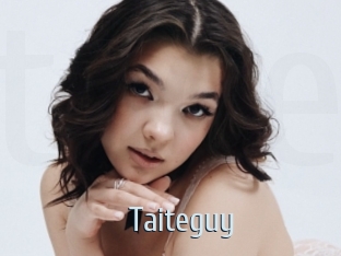 Taiteguy