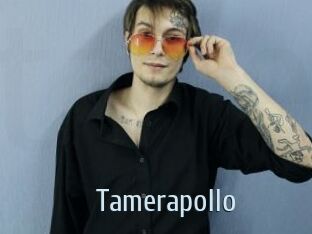 Tamerapollo