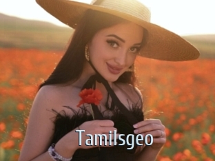 Tamilsgeo
