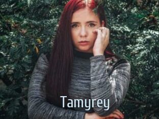 tamyrey Ta Model