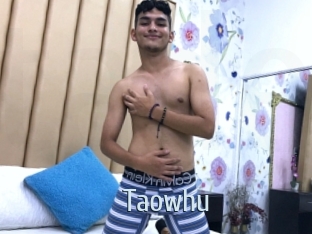 Taowhu