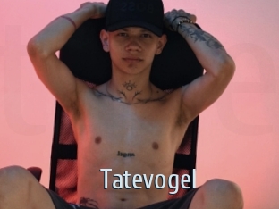 tatevogel Ta Model