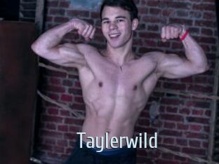 Taylerwild
