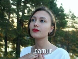 teamur Ta Model