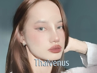 Thaivenus