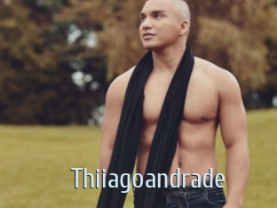 thiiagoandrade Ta Model
