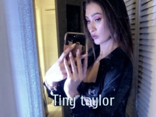 Tiny_taylor