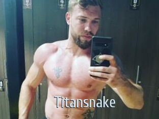 titansnake Ta Model